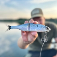 Berkley PowerBait Nessie Glide Baits